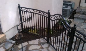 Gerontides (5)